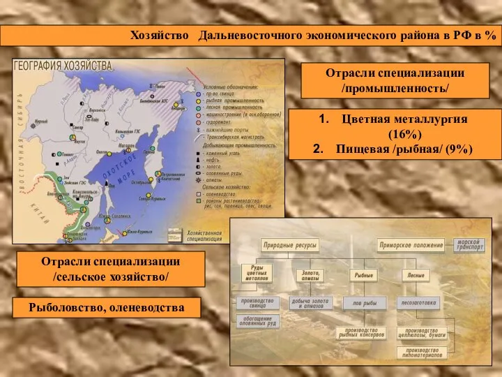 Хозяйство Дальневосточного экономического района в РФ в % Отрасли специализации /промышленность/