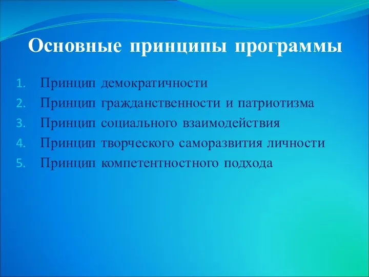 Основные принципы программы Принцип демократичности Принцип гражданственности и патриотизма Принцип социального