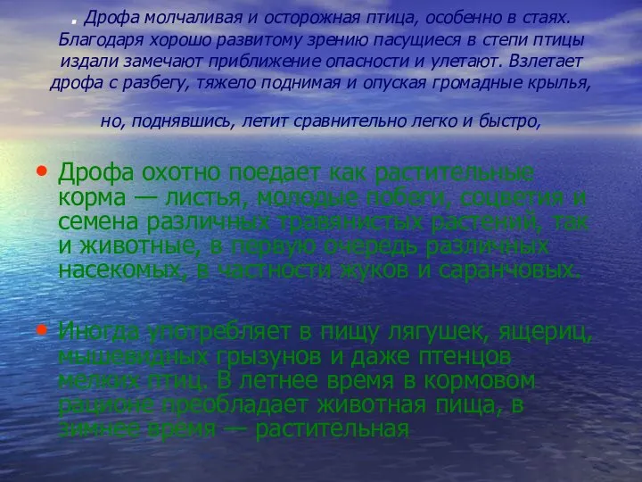 . Дрофа молчаливая и осторожная птица, особенно в стаях. Благодаря хорошо