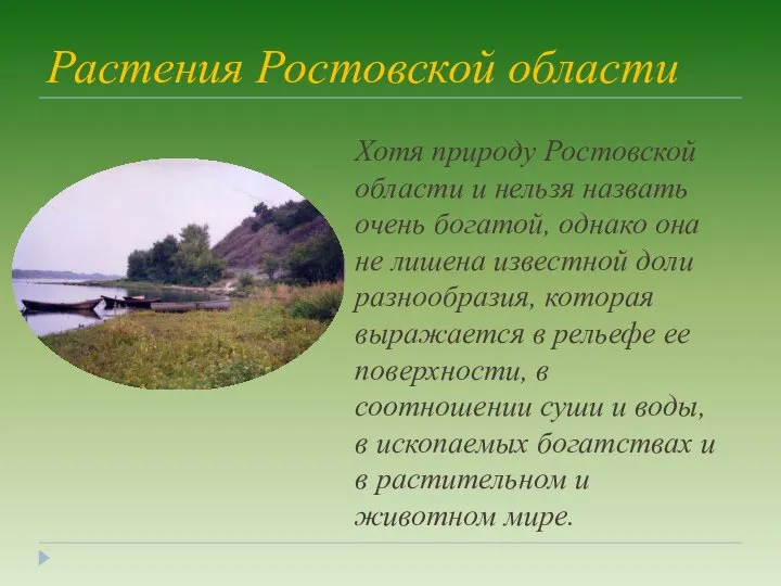 Растения Ростовской области Хотя природу Ростовской области и нельзя назвать очень