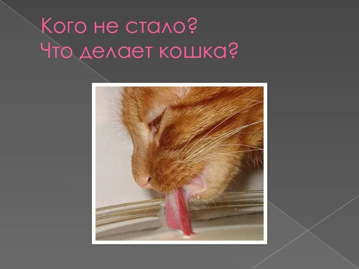 Кого не стало? Что делает кошка?