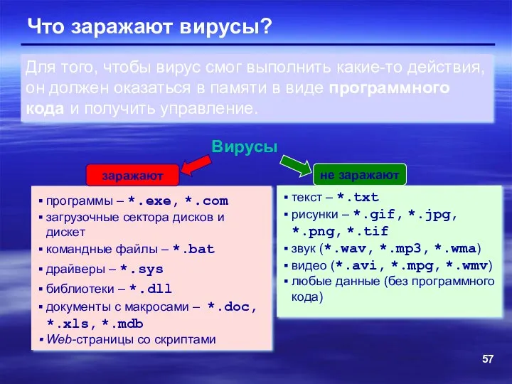 Что заражают вирусы? Вирусы программы – *.exe, *.com загрузочные сектора дисков