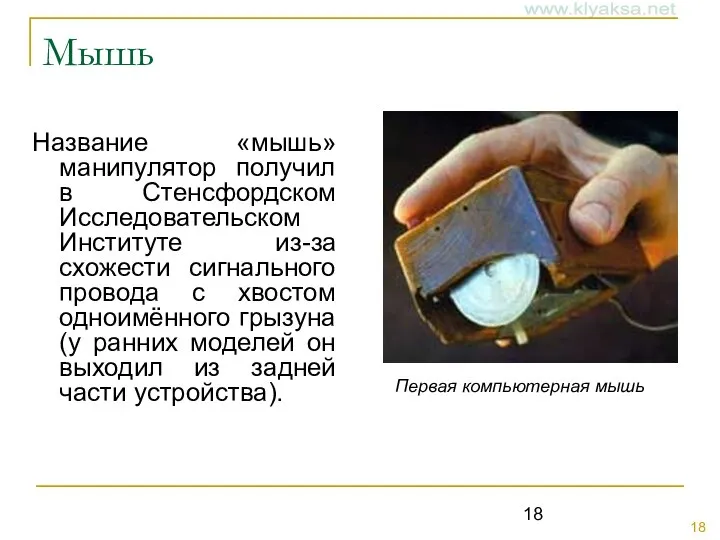 Мышь Название «мышь» манипулятор получил в Стенсфордском Исследовательском Институте из-за схожести