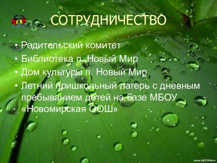 СОТРУДНИЧЕСТВО Родительский комитет Библиотека п. Новый Мир Дом культуры п. Новый