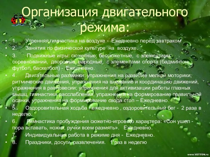 Организация двигательного режима: 1. Утренняя гимнастика на воздухе - Ежедневно перед