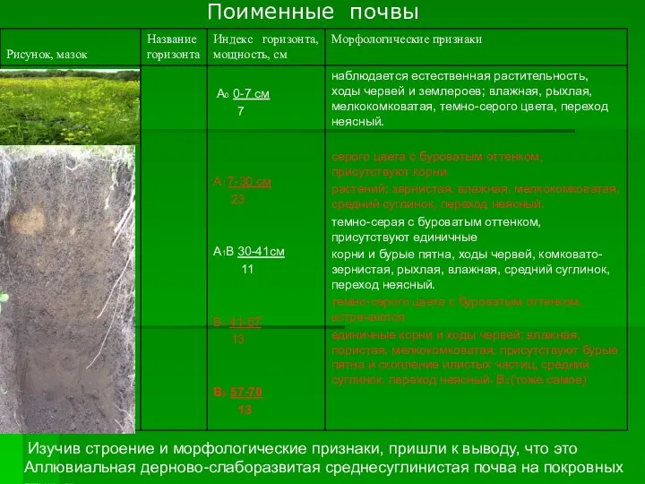 Поименные почвы Изучив строение и морфологические признаки, пришли к выводу, что