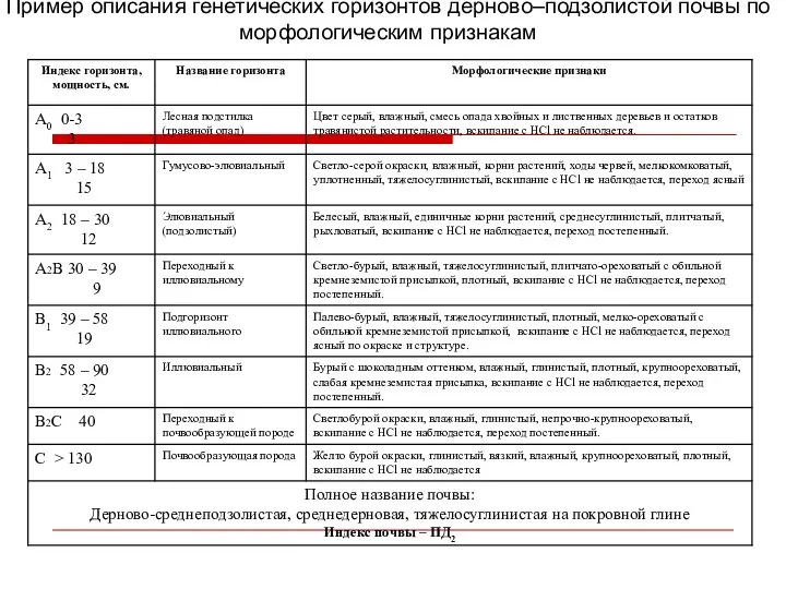 Пример описания генетических горизонтов дерново–подзолистой почвы по морфологическим признакам