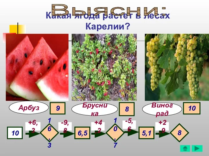 Какая ягода растет в лесах Карелии? Арбуз Виноград 10 +6,3 -9,8