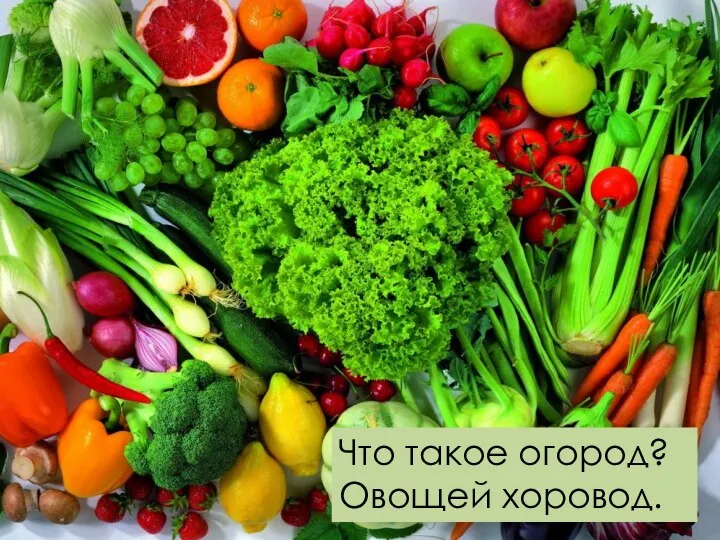 . Что такое огород? Овощей хоровод.