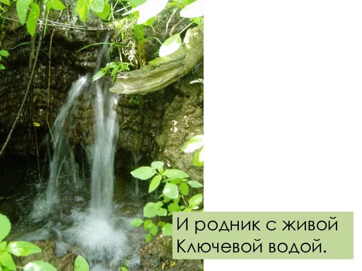 И родник с живой Ключевой водой.