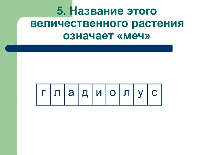 5. Название этого величественного растения означает «меч»