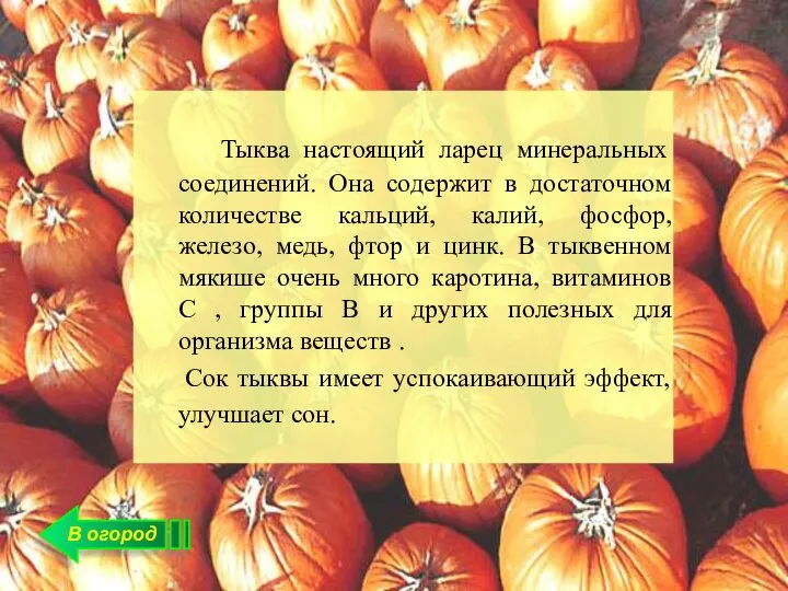 В огород Тыква настоящий ларец минеральных соединений. Она содержит в достаточном