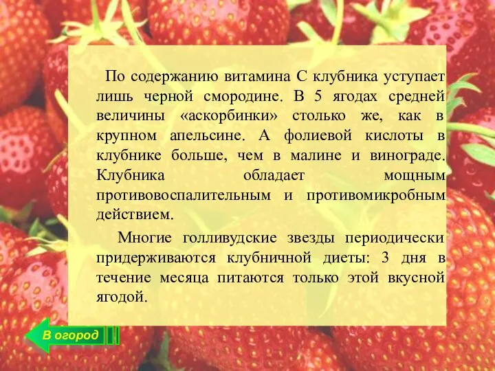 В огород По содержанию витамина С клубника уступает лишь черной смородине.