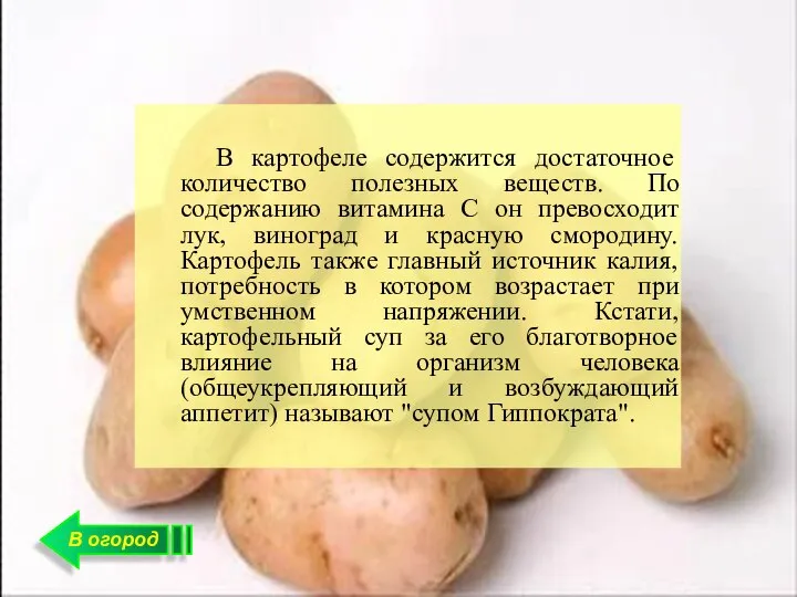 В огород В картофеле содержится достаточное количество полезных веществ. По содержанию
