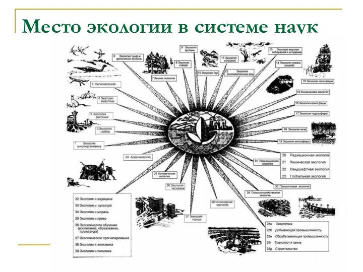 Место экологии в системе наук