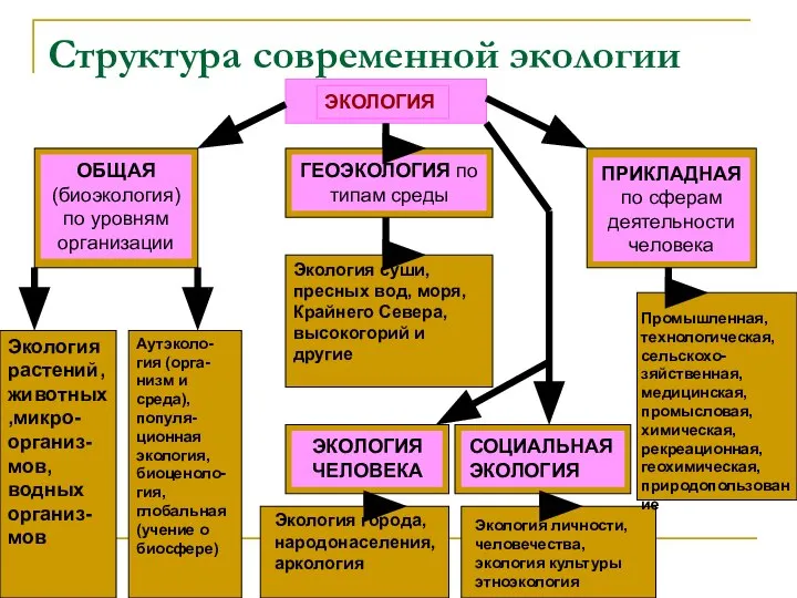 Структура современной экологии ЭКОЛОГИЯ ОБЩАЯ (биоэкология) по уровням организации ГЕОЭКОЛОГИЯ по