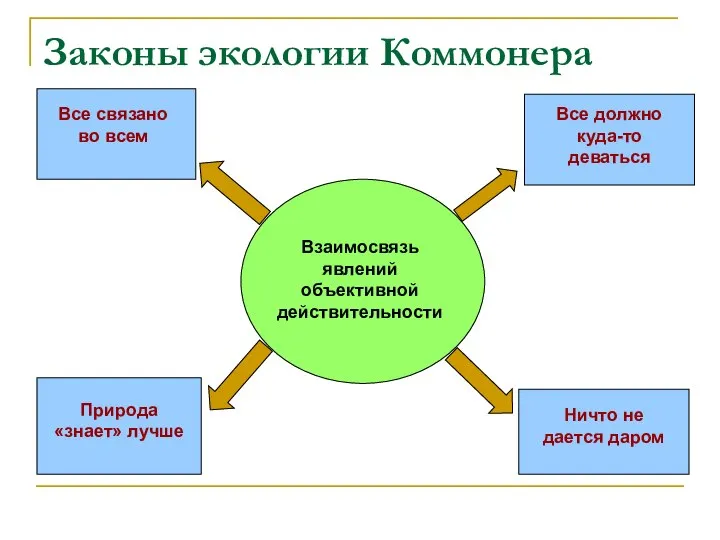 Законы экологии Коммонера Взаимосвязь явлений объективной действительности Все связано во всем