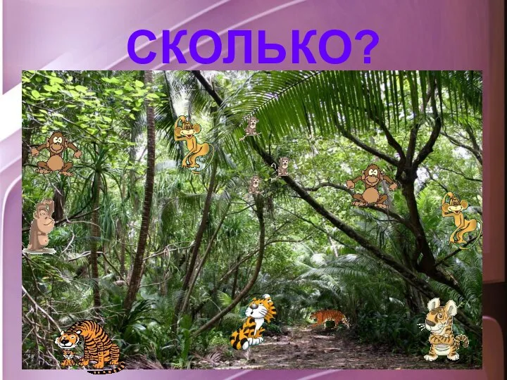 СКОЛЬКО?