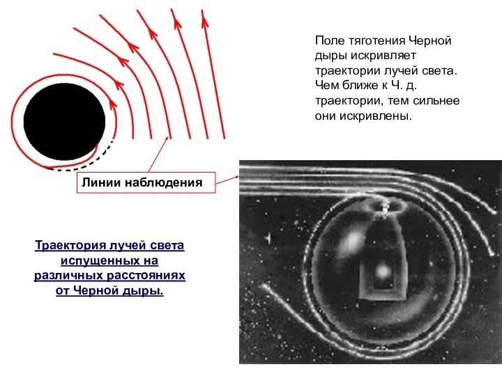 Линии наблюдения Поле тяготения Черной дыры искривляет траектории лучей света. Чем
