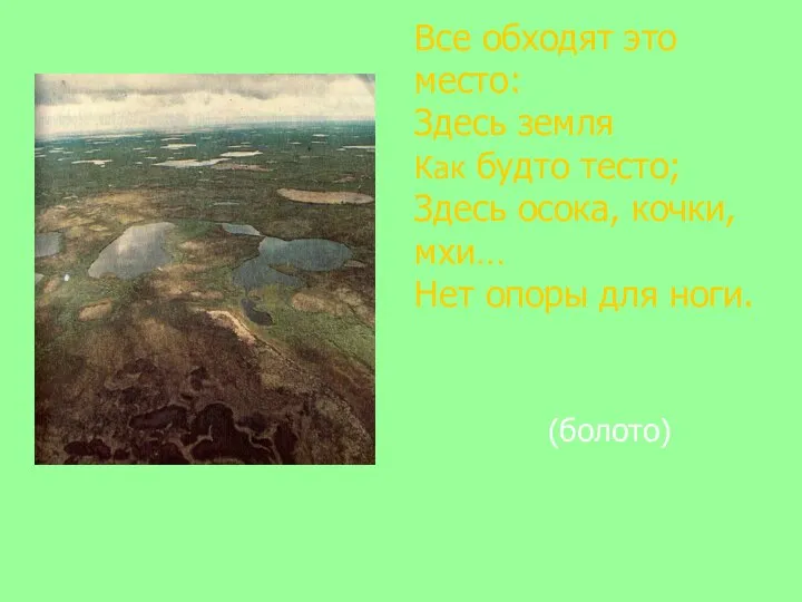 Все обходят это место: Здесь земля Как будто тесто; Здесь осока,