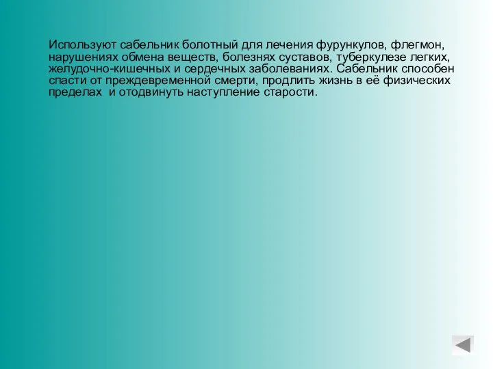 Используют сабельник болотный для лечения фурункулов, флегмон, нарушениях обмена веществ, болезнях