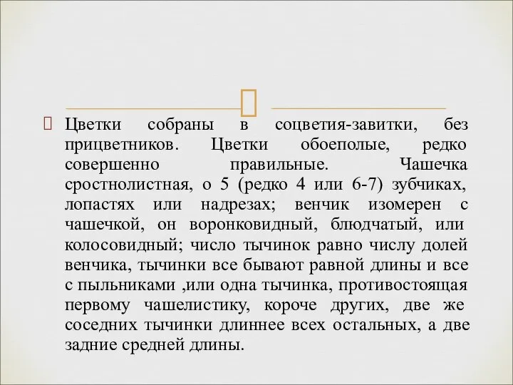 Цветки собраны в соцветия-завитки, без прицветников. Цветки обоеполые, редко совершенно правильные.