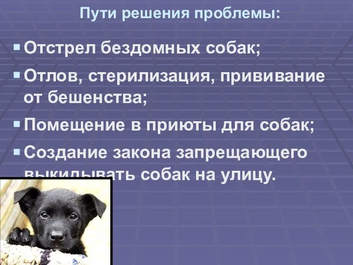 Пути решения проблемы: Отстрел бездомных собак; Отлов, стерилизация, прививание от бешенства;