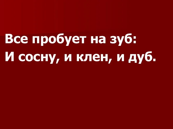 Все пробует на зуб: И сосну, и клен, и дуб.