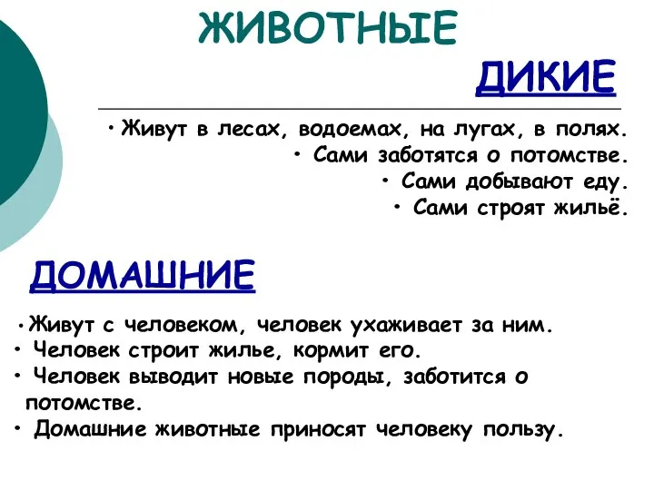 ЖИВОТНЫЕ ДИКИЕ ДОМАШНИЕ Живут в лесах, водоемах, на лугах, в полях.