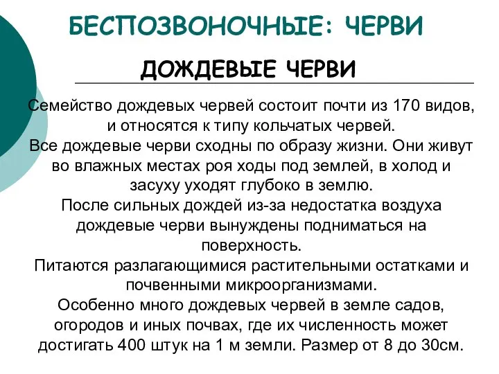 БЕСПОЗВОНОЧНЫЕ: ЧЕРВИ ДОЖДЕВЫЕ ЧЕРВИ Семейство дождевых червей состоит почти из 170