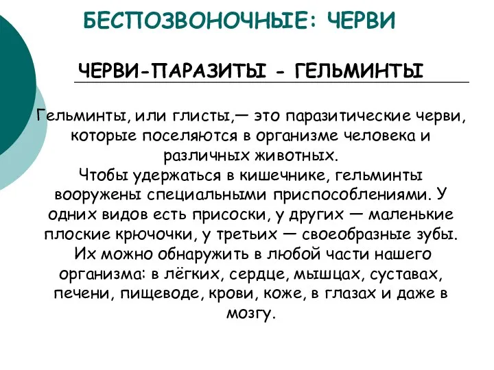 БЕСПОЗВОНОЧНЫЕ: ЧЕРВИ ЧЕРВИ-ПАРАЗИТЫ - ГЕЛЬМИНТЫ Гельминты, или глисты,— это паразитические черви,