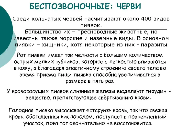 Рот пиявки имеет три челюсти с большим количеством острых мелких зубчиков,