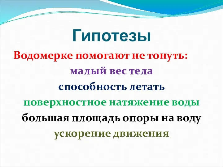 Гипотезы Водомерке помогают не тонуть: малый вес тела способность летать поверхностное