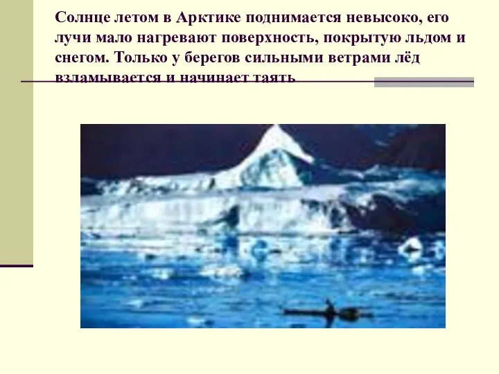 Солнце летом в Арктике поднимается невысоко, его лучи мало нагревают поверхность,