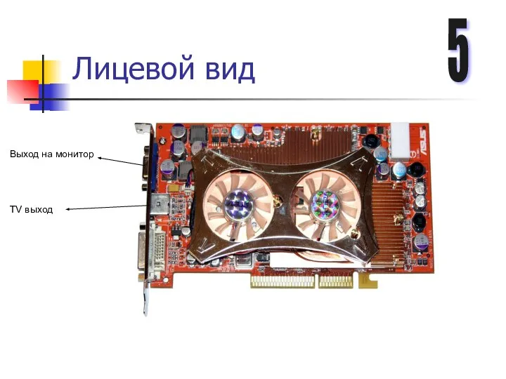 Лицевой вид Выход на монитор TV выход 5