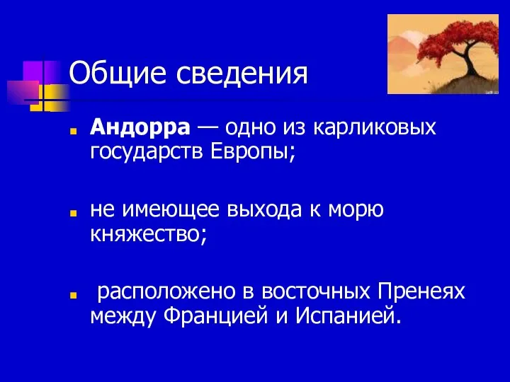 Общие сведения Андорра — одно из карликовых государств Европы; не имеющее