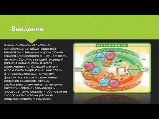 Введение Живым системам свойственен метаболизм, т.е. обмен энергией и веществом с