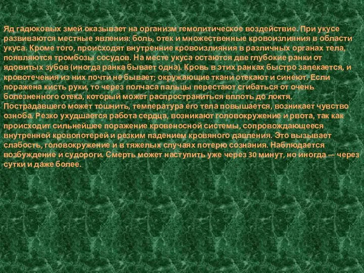 Яд гадюковых змей оказывает на организм гемолитическое воздействие. При укусе развиваются