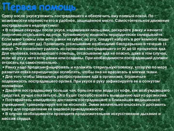 Первая помощь Сразу после укуса уложить пострадавшего и обеспечить ему полный