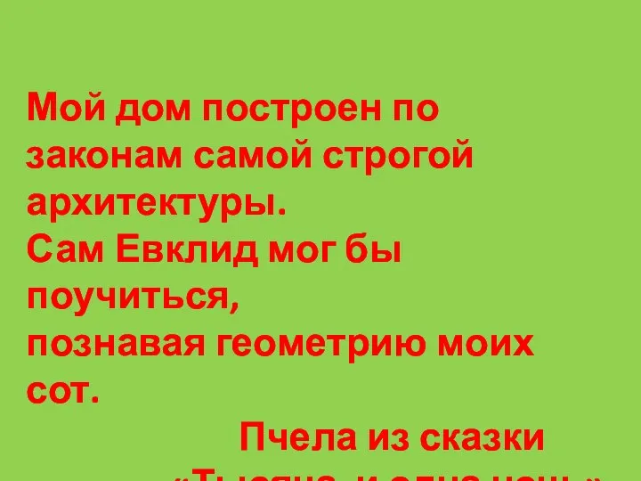 Мой дом построен по законам самой строгой архитектуры. Сам Евклид мог