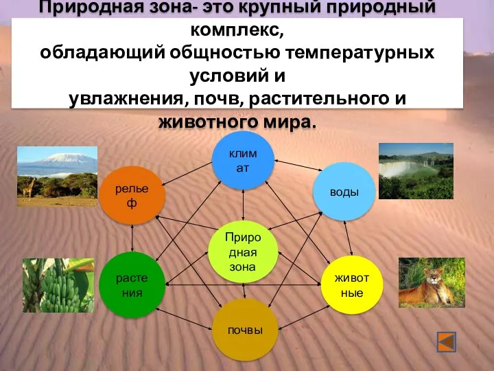 Природная зона- это крупный природный комплекс, обладающий общностью температурных условий и