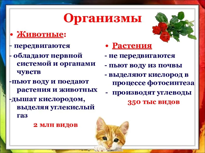 Организмы Животные: - передвигаются - обладают нервной системой и органами чувств