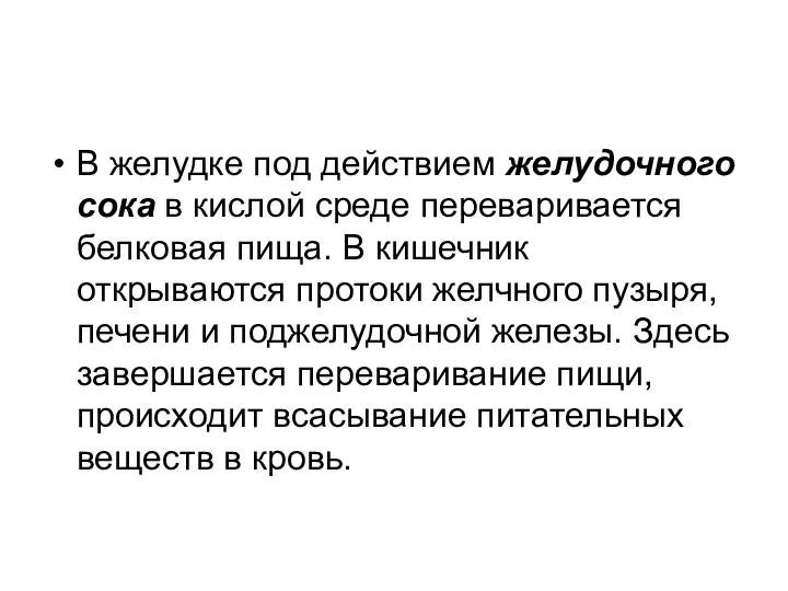 В желудке под действием желудочного сока в кислой среде переваривается белковая