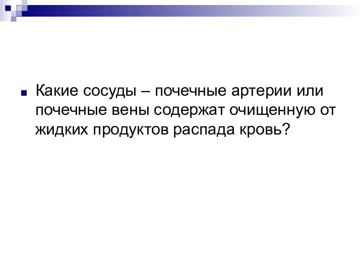 Какие сосуды – почечные артерии или почечные вены содержат очищенную от жидких продуктов распада кровь?