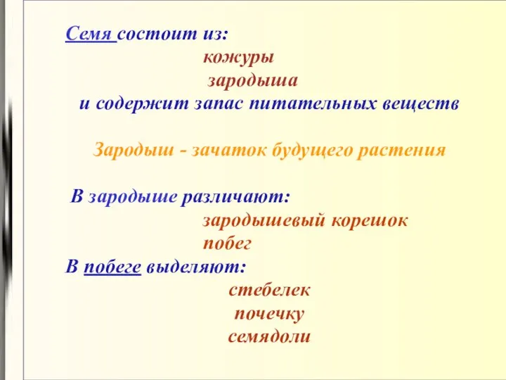 Семя состоит из: кожуры зародыша и содержит запас питательных веществ Зародыш