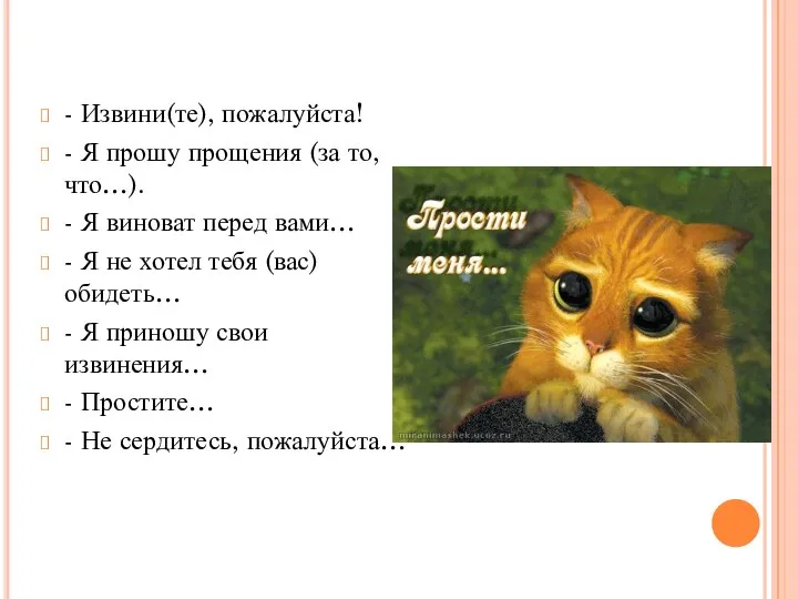 - Извини(те), пожалуйста! - Я прошу прощения (за то, что…). -