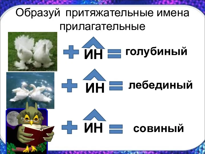 Образуй притяжательные имена прилагательные ИН голубиный ИН лебединый ИН совиный