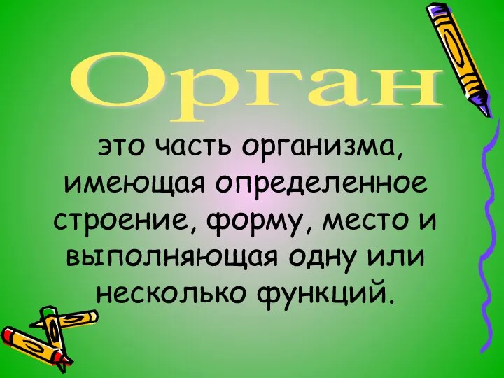 это часть организма, имеющая определенное строение, форму, место и выполняющая одну или несколько функций. Орган