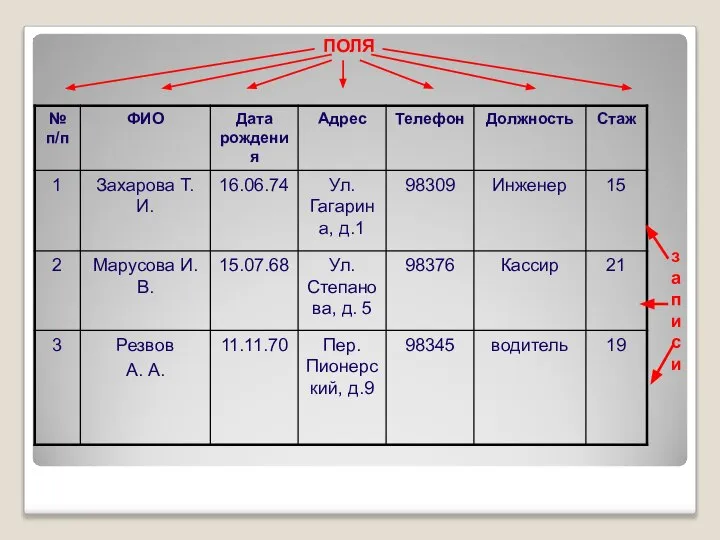 записи ПОЛЯ