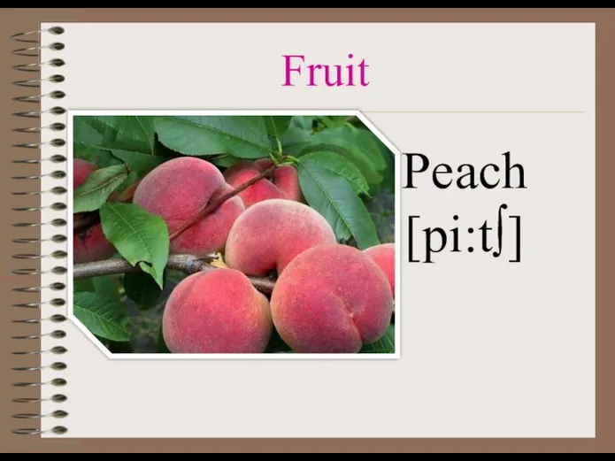 Fruit Peach [pi:t∫]